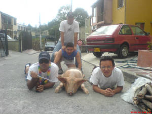 marrano.jpg